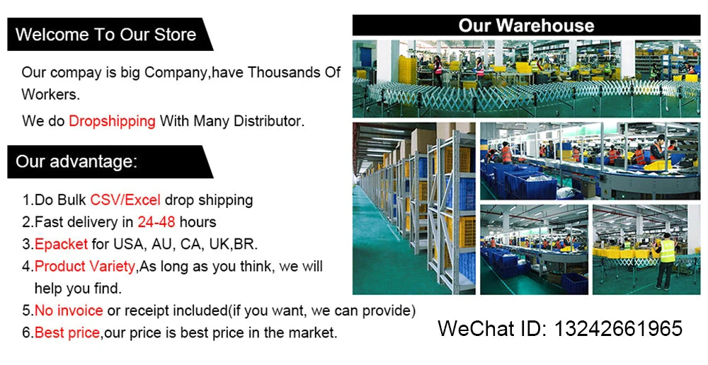 DIY Wooden Coin-Eating Robot STEM Education Kit