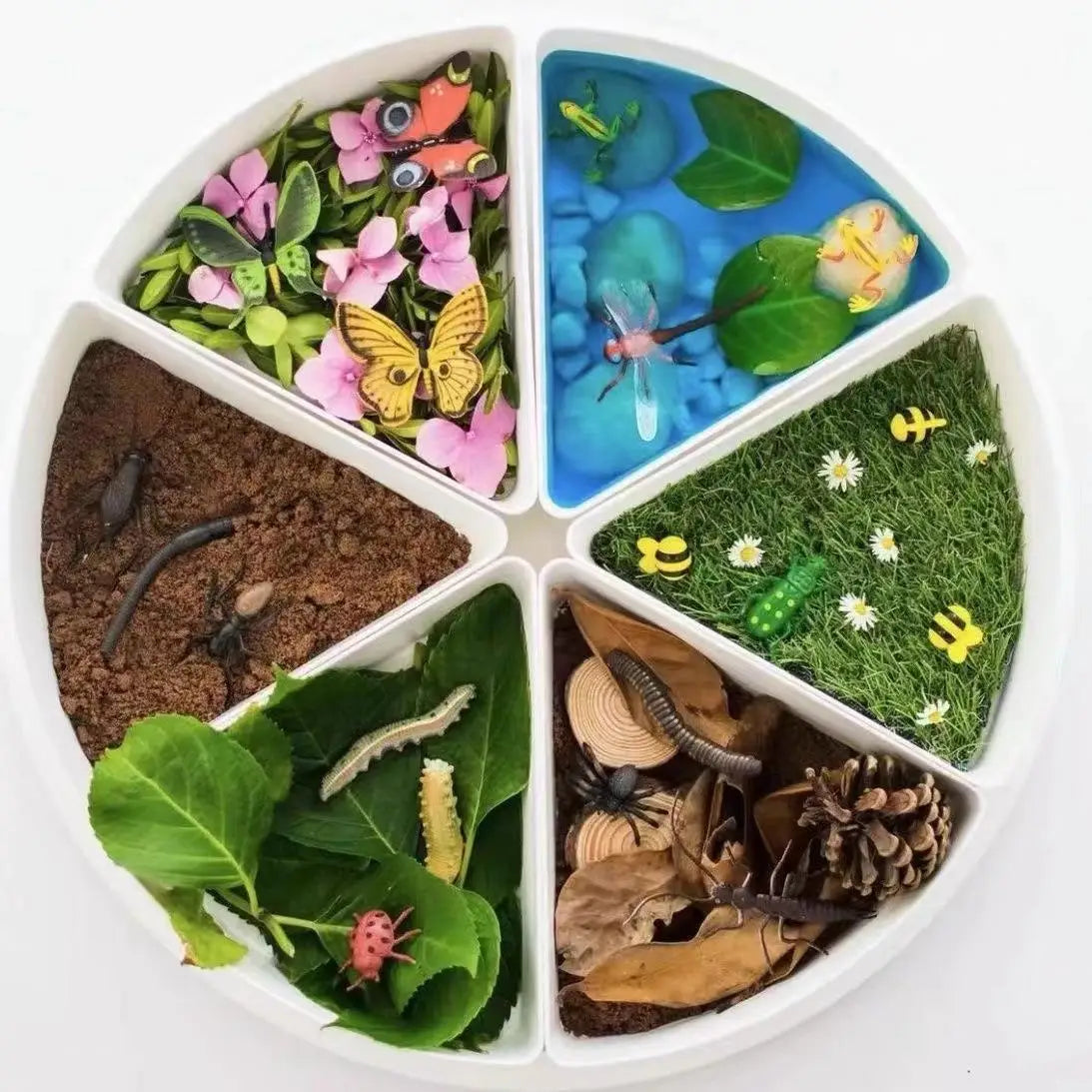 Sensory Bin Play Sand Tray