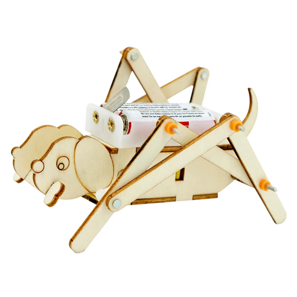 Kids DIY Hydraulic Lift Table Science Experiment Kit