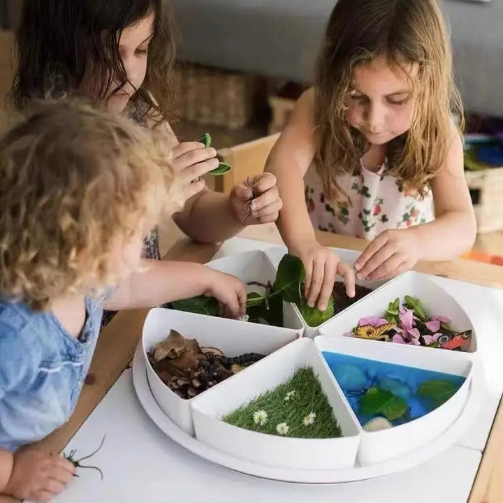 Sensory Bin Play Sand Tray